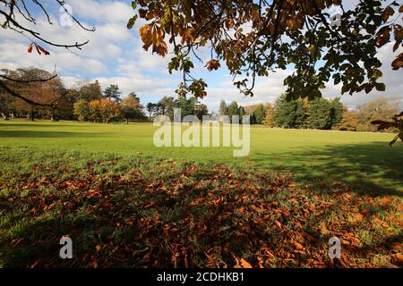 Ayr, Schottland, 29. Oktober 2019 Belleisle Park, Herbstlaub auf dem Golfplatz Credit : Alister Firth Stockfoto