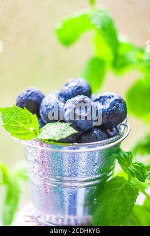 Heidelbeeren, saftige Waldbeeren in Wassertropfen. Gesunde Ernährung oder Ernährung. Selektiver Fokus, Kopierbereich Stockfoto