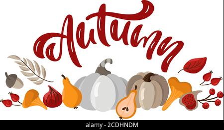 Autumn Vektor Kalligraphie Schriftzug Text Banner in Rahmen Herbst Blätter, Eicheln, Kürbisse und Beeren. Vektor-Schablone mit Beschriftung isoliert auf weiß Stock Vektor