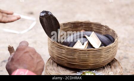 Beawar, Rajasthan, Indien, 28. August 2020: Schlangenbeschwörer zeigt Besuchern vor einem Tempel inmitten einer Coronavirus-Pandemie in Beawar eine Schlange. Kredit: Sumit Saraswat/Alamy Live Nachrichten Stockfoto