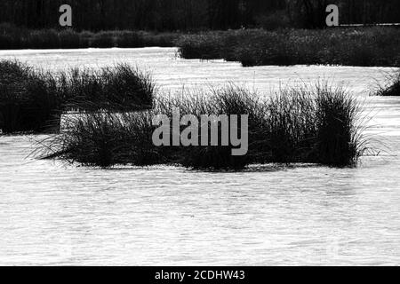 Frozen Lake im November, Turnbull Wildlife Refuge, WA Stockfoto