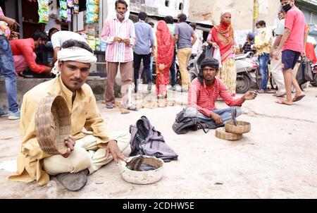 Beawar, Rajasthan, Indien, 28. August 2020: Snake Charmer zeigt Schlange für Besucher außerhalb eines Tempels inmitten Coronavirus Pandemie, in Beawar. Kredit: Sumit Saraswat/Alamy Live Nachrichten Stockfoto