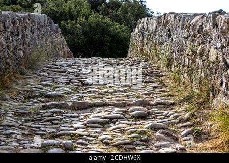 Die seit dem 14. Jahrhundert verwendete Pont de Llierca ist 28 m hoch und überspannt den Fluss Llierca, La Garrotxa, Girona, Katalonien, Spanien Stockfoto