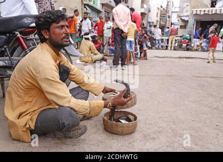 Beawar, Rajasthan, Indien, 28. August 2020: Ein Schlangenbeschwörer zeigt den Besuchern vor einem Tempel inmitten einer Coronavirus-Pandemie in Beawar Kobra-Schlange. Kredit: Sumit Saraswat/Alamy Live Nachrichten Stockfoto