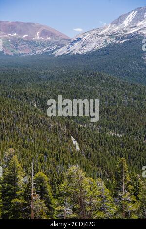 Kurvenreiche Straße zwischen Wald in Kalifornien Stockfoto