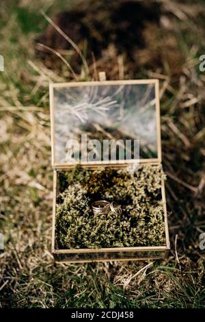 Die Eheringe der Braut und des Bräutigams in der Spiegelbox auf dem grünen Gras. Stockfoto