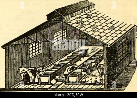 . Die Gärtnerchronik und landwirtschaftliche gazette . ^^*=^ 59, George Square, Glasgow; 2, Goree Piazzas, Liverpool. FOWLERS PATENT DAMPFPFLUG und CULTIVATOR kann bei DER ARBEIT in jedem Agricul-tural County lu England gesehen werden. Für Einzelheiten gelten Joan Fowler & Co., 71, Comhill, London, E.G.; und Steam Plough Works, Leeds. C^. n. Hay R»ck verzichtete auf unuecessary, mcreaaed Breite (gegenüber dem Pantheon), Oxford Street, London, W., ^ Cottams Iron Hürden, Fechten und Gates. Stockfoto