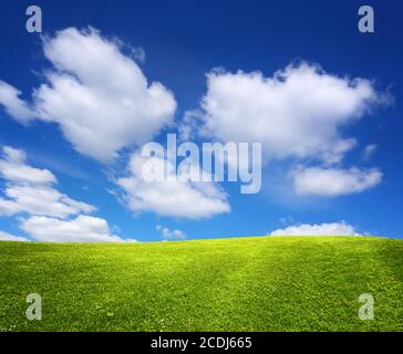 Grünen Wiese Landschaft Stockfoto