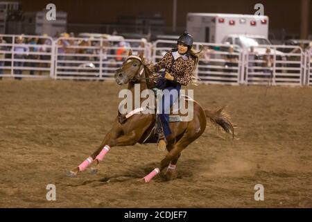 Fallon Taylor nimmt am Donnerstag, 13. August 2020, an der Wyoming State Fair in Douglas am PRCA Rodeo Teil. Die 108. Jährliche Messe eröffnete diese Woche mit zusätzlichen Vorsichtsmaßnahmen, um die Ausbreitung des COVID-19 Virus zu verhindern. Stockfoto