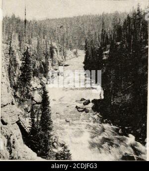 . Bericht von Erkundungen in Colorado und Utah im Sommer 1889: Mit einem Bericht über die Fische in jedem der Flussbecken gefunden untersucht. Kepplers Kaskade des Firehole River. (Seepage59.). Stromschnellen auf Lewis Fork of Snake River. (Seepage60.) ERKUNDUNGEN IM YELLOWSTONE NATIONALPARK. 61 untere Teil des Sees. Seine Ufer sind meistens fett, felsig und dicht bewaldet, dasöstliche Ufer ist besonders abrupt, und der Boden wird dort durch große Felsbrocken aus Lava gebildet. Es gibt keine Fische im See. Entlang der östlichen Küste gibt es wenig Fischfutter, die Lavasteine sind karg, aber die Menge o Stockfoto