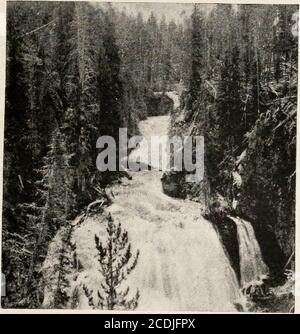 . Bericht von Erkundungen in Colorado und Utah im Sommer 1889: Mit einem Bericht über die Fische in jedem der Flussbecken gefunden untersucht. Bulle U. S. F. C. 1889.-(zur Vorderseite 60-3.) Jordanien. Yellowstone Explorations. Platte XXI.. Kepplers Kaskade des Firehole River. (Seepage59.) Stockfoto