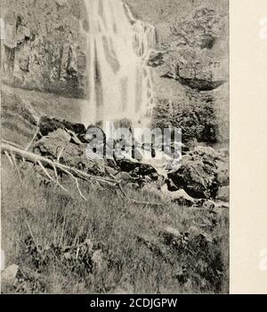 . Bericht von Erkundungen in Colorado und Utah im Sommer 1889: Mit einem Bericht über die Fische in jedem der Flussbecken gefunden untersucht. Osprey Falls of Gardiner River. (Siehe Seite 57.) Bulle U. 5. F. C. 1889 –(auf Seite 58-2.) Jordanien. Yellowstone Explorations. Platte XVIII Stockfoto