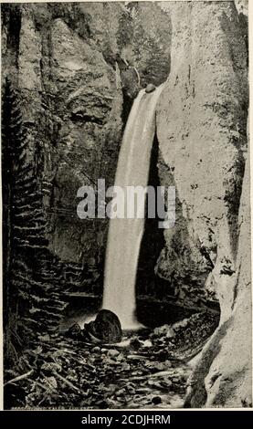 . Bericht von Erkundungen in Colorado und Utah im Sommer 1889: Mit einem Bericht über die Fische in jedem der untersuchten Flussbecken gefunden. Lowstone, keiner wurde von uns besucht. Commonreport sagt, dass alle gut mit Forellen bestückt sind, und dass die Forellen in allen oder den meisten von ihnen sind wormy. Die folgenden Nebenflüsse des Sees wurden untersucht: Solution Creek ist ein kleiner, schmaler Bach, mit Lavaboden und grasbewachsenen Ufern, die mit Weiden verbunden sind. Zum Zeitpunkt unseres Besuches war es 2 oder 3 Meilen über seiner Mündung trocken, und etwa die gleiche Entfernung unter seiner Quelle in Riddle Lake. In den stehenden Pools davon Stockfoto