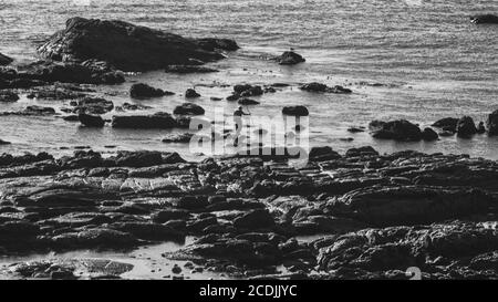 Mann, der auf den Ons Inseln angeln kann Stockfoto