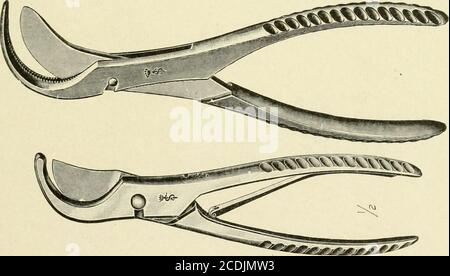 . Tierärztliche Post-mortem Technik . Abb. Also. - Eisen-Pinchers zum Entfernen von Sohle und Wand von Hufeisen.. Abb. 36. - Costotome, die beim Schneiden der Rippen von kleinen Tieren bei der Entfernung des Sternums verwendet werden. Ist mit scharfen Kerben versehen, um ein Rutschen zu verhindern, wenn es unter dem Rand des Calvariums rutscht. 34 TIERARZT POST-MORTEM TECHNIC EIN Rippenhaken (Abb. 32) ist ein Stahlhaken mit einem Schlaufengriff, der die Rippen hochhält, während die Membran durchtrennt wird, und um die Seite zu entfernen, nachdem sie vom Körper befreit wurde. Es ist 6 lang. Stockfoto