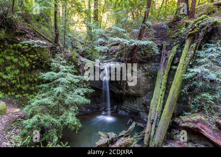 Sempervirens Falls in Big Basin Redwoods State Park, Kalifornien Stockfoto