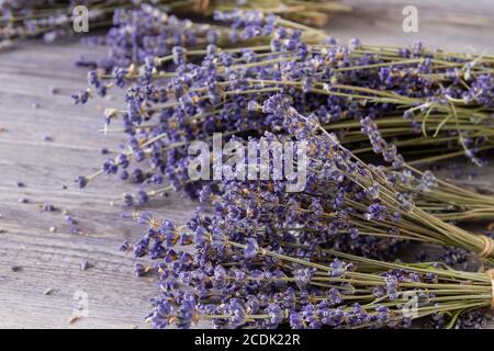 Blumensträuße von getrockneten Lavendelblüten Stockfoto