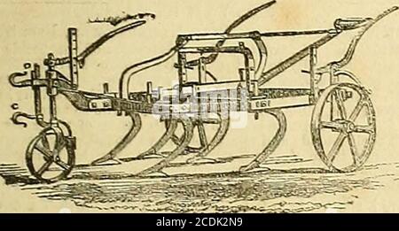 . Die Gärtnerchronik und die Agrarzeitung . UND ZWERGROSEN. HOLLÄNDISCHE BIRNEN-über 100 starke Pflanzen von AraucariaDammaha Ovata. IVC. CoOKIi, UND S VYISOR und KOCHEN garantiert PRISEi^ ?RUnTINGiind RUDDING MESSER, SCHEREN, AC-Bold von allen respektablen Baumärtner und Saatguthändler inden drei Königreichen. CLAYS PATENT GRUBBER und EUADI-CATOR werden auf der SMITHFIELD SHOW, Baker Street, 6., 7. Dezember, S und 0. Ausgestellt. – Royal Yorkshire und North Lincolnshire Societies Prize Implement. – Anforderungein Viertel weniger Pferdestärke als jedes andere Gerät von den Richtern der Royal Societies getestet, wie gezeigt, Stockfoto