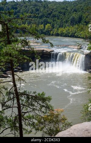 Cumberland Falls, ein großer Wasserfall am Cumberland River im Südosten von Kentucky. Es wird manchmal Little Niagara, Niagara des Südens genannt. Stockfoto