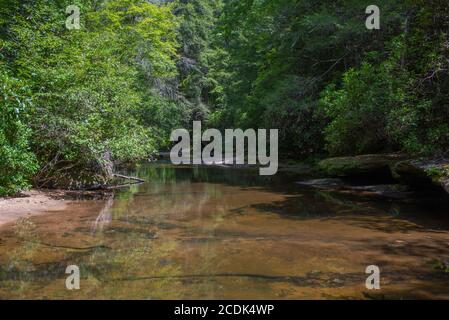 Eagle Creek, ein kleiner, klarer Bach unterhalb der Cumberland Falls am Cumberland River im Südosten von Kentucky. Stockfoto