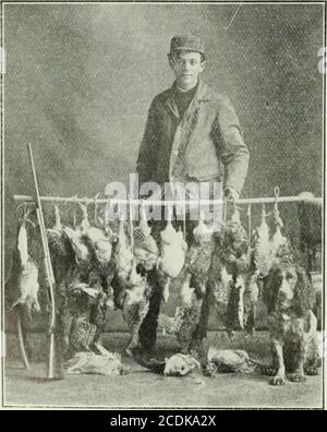 . Rod and gun . od Spirituosen und die Aussicht von AbbottsPass hervorragend. Auf dem Tliedtop machten wir halt und genossen das Erything – Ruhe, Aussicht, Orangen mit Schnee gewürzt und die Aussicht auf einen Versuch auf Mt. Victoria am nächsten Tag. Der Rest der Reise war bergab und unruhig. Wie sich Seedampfer vor dem Hotel näherten, trafen wir viele, die aus dem Meer auffuhren, an das wir gebunden waren. Zuerst wurde eine Partei unter klerikaler Führung, dann eine von bedeutenden English Alpinisten und die dritte einige der englischen Gäste unter der Leitung des Vize-Presi-Dent, alle nahmen die Rundreise in die Re-versale Richtung zu dem einen ausgewählten byour pa Stockfoto