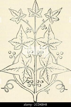 . Revue de l'Art chrétien . Preis: 150 frs. Marchai (E.) - Quelques considérations surlhistoire de la sculpture belge, dans le BulletindelAcadémie royale des Sciences, des lettres et desBeaux-Arts de Belgique, Nr. 4, 1898. Monchamp (Labbé). – Les reliques de sainteJulienne de Cornillon, a labbaye de Villers.Beitrag a lhistoire de son culte. - PTT. In-8., 31 S. Liège, L. Demarteau. * Nève (J.). - Le Martyre de saint Sébastien,tableau de Memling au Musée de Bruxelles. Tarideu (Kap.). – Sur lart au XIXe siècle,dans les Bulletins de VAcadémie royale de Belgique,1898. Van Even (E.). - Le contrat Stockfoto