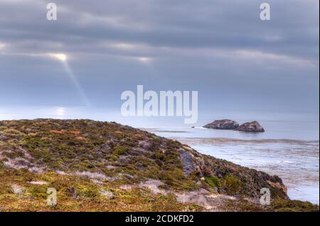 Garrapata Zustand-Strand Stockfoto