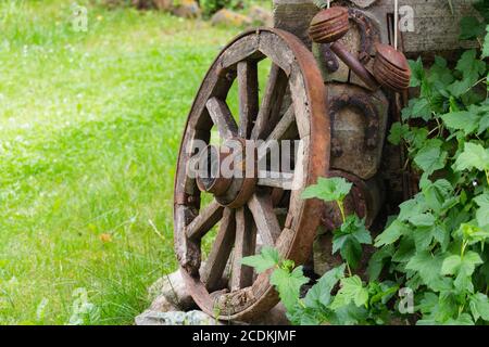 Altes Holzrad in Weide in der Nähe des alten Woddenhauses Stockfoto