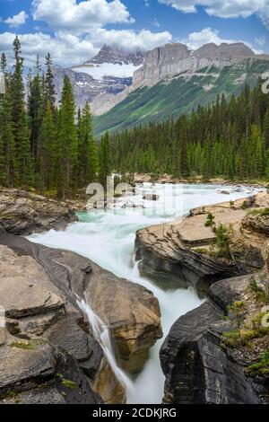 Der Mistaya Canyon fällt entlang des IIcefieeeeee Parkway, Banff National Park, Alberta, Kanada. Stockfoto