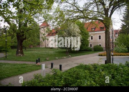 Gotische Burg des Deutschen Ordens in Paslek, Polen. 24. Mai 2020 © Wojciech Strozyk / Alamy Stockfoto Stockfoto