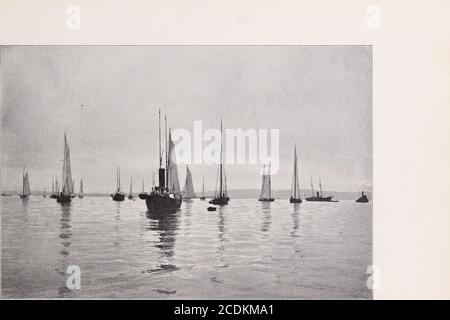 . Greater New York Illustrated : über hundertfünfzig fotografische Ansichten der wichtigsten Stadt der westlichen Hemisphäre. . Governors Island.EAST RIVER – Blick nach Süden von New York und Brooklyn Bridge. 15. EIN NEBLIGER MORGEN AN DER NEW YORK BAY Stockfoto