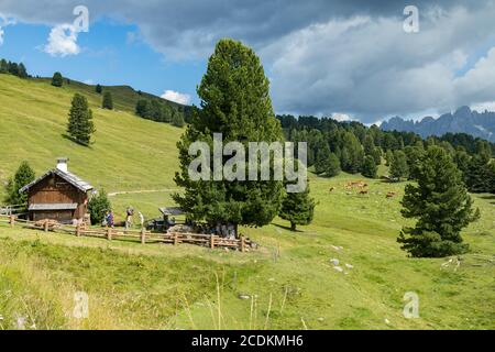 TONADICO, TRENTINO/ITALIEN - AUGUST 11 : Zuflucht im Naturpark Paneveggio Pale di San Martino in Tonadico, Trentino, Italien am 11. August 2020. Nicht identifizierte Personen Stockfoto