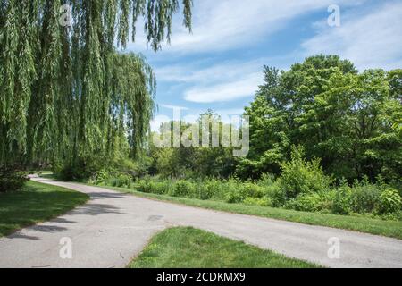 Gegabelt Radweg durch die üppige Frühlingsflora unter einem blauen Himmel mit Wolken entlang der Waubonsie Creek Trail in Aurora, Illinois Stockfoto