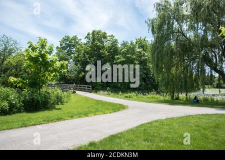 Aurora, Illinois, USA-April 19,2014: Person, die unter einer Weide sitzt und ein anderes Feuchtgebiet von der Brücke aus im Park in Aurora, Illinois Stockfoto