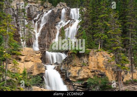 Tangle Creek Falls entlang des Icefields Parkway, Jasper National Park, Alberta, Kanada. Stockfoto