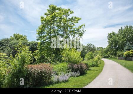 Fahrrad- und Fußgängerweg durch üppige, frühlingshafte Flora mit blühenden Pflanzen entlang des Waubonsie Creek Trail in Aurora, Illinois Stockfoto