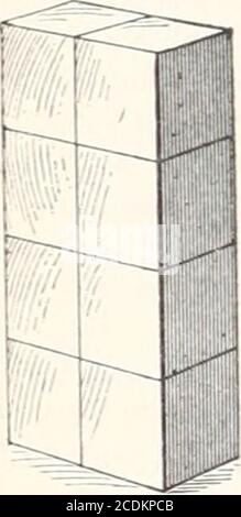 . Babyhood. Fast an den Rand des Tisches up-Seite nach unten, und mit dem Deckel bequem zum Öffnen angebracht. Dann wird die Box nach vorne geschoben, bis die Kerbe im Deckel über die Kante des Tellerrands hinausragt, wenn die Pupille sie carefullyout (immer noch auf Befehl) rutscht, legt sie entweder onor an eine Seite der Box wie gerichtet, Und, mit der rechten Hand, vorsichtig entfernt die Kappe, so dass ihr Freund der vorherigen Lektion disclosedto sehen. Wir kommen nun zu der eigentlichen Arbeit durch Direktionmit der dritten Gabe, die ein Kind, das sorgfältig unterrichtet wird, immer wieder fasziniert. Die Formen gebaut sind aus drei Klassen : Formsof l Stockfoto