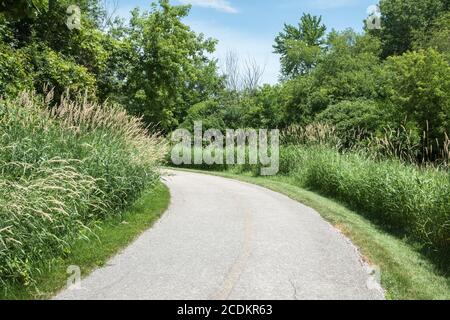 Fahrrad- und Fußgängerweg durch üppige Frühlingsflora entlang des Waubonsie Creek Trail in Aurora, Illinois Stockfoto
