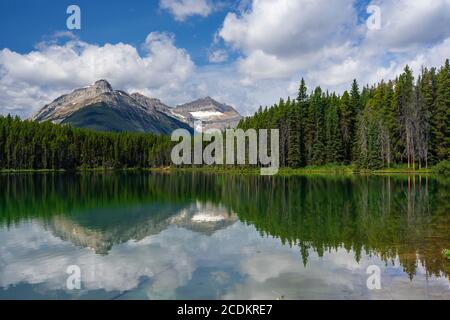 Herbert Lake Reflections im Banff National Park, Icefields Parkway, Alberta, Kanada. Stockfoto