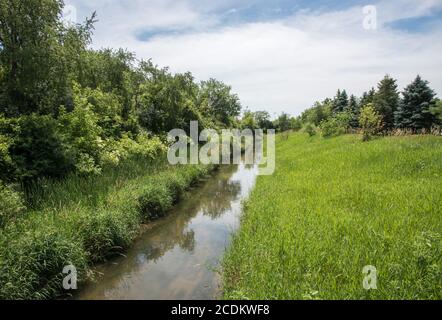 Creek durch üppige, sommergrüne Flora und Gräser auf dem Waubonsie Creek Trail unter einem blauen Himmel mit Wolken in Aurora, Illinois Stockfoto