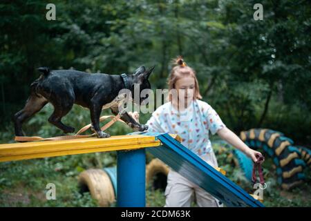 Mädchen spielen mit niedlichen kleinen franzosen Bulldogge Welpen im Park Am Sommertag Stockfoto