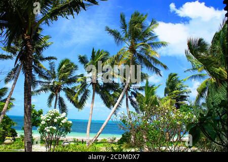 Paradies idyllischer Strand auf exotischen Seychellen. Blühende Blumen, grüne Kokospalmen am Ufer des azurblauen Indischen Ozeans. Wunderschöne tropische Natur. Stockfoto