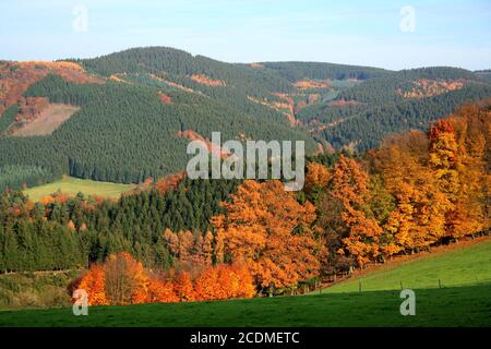 Sauerland im Herbst, Deutschland Stockfoto