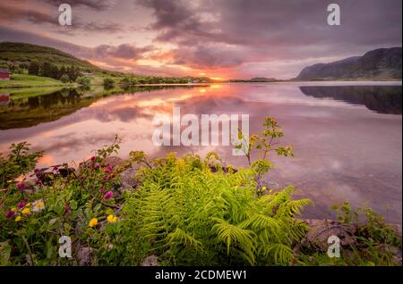 Ruhige Atmosphäre mit rosa Wolken auf dem Fjord in der Mitternachtssonne, Bøstad, Lofoten, Nordland, Norwegen, Europa Stockfoto