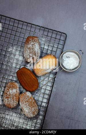 Klassische Madeleine auf Kuchengitter und Puderzucker im Sieb, Deutschland Stockfoto