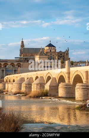 Puente Romano, römische Brücke über Rio Guadalquivir, hinter Mezquita, Catedral de Cordoba, Cordoba, Andalusien, Spanien Stockfoto