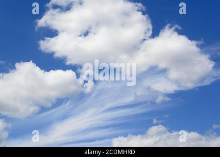 Wolkenbildung, blauer Himmel mit Federwolken (Cirrus) und Frühlingswolken (Cumulus), Niedersachsen, Deutschland Stockfoto