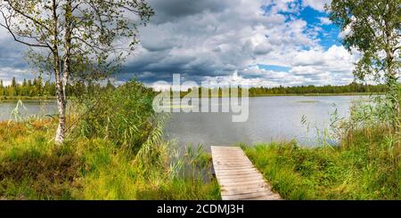 Steg am Riedsee, Wurzacher Ried, Bad Wurzach, Oberschwaben, Baden-Württemberg, Deutschland Stockfoto