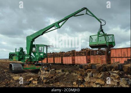 Aufgetürmte Torfsoden im Moor, Torfgewinnung, Verladung der trockenen Soden mit einem Raupenbagger, CO2-Speicherung, Goldenstedter Moor, Oldenburger Stockfoto