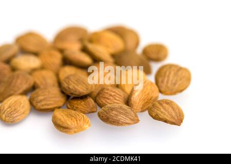 Apricot Kernel / Muttern isoliert auf weißem Hintergrund. Stockfoto